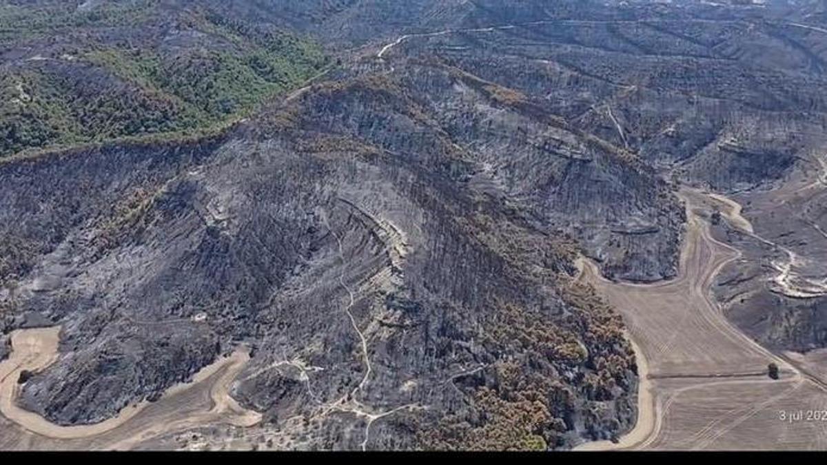 Imagen aérea del incendio forestal de Leciñena, hace unos días.