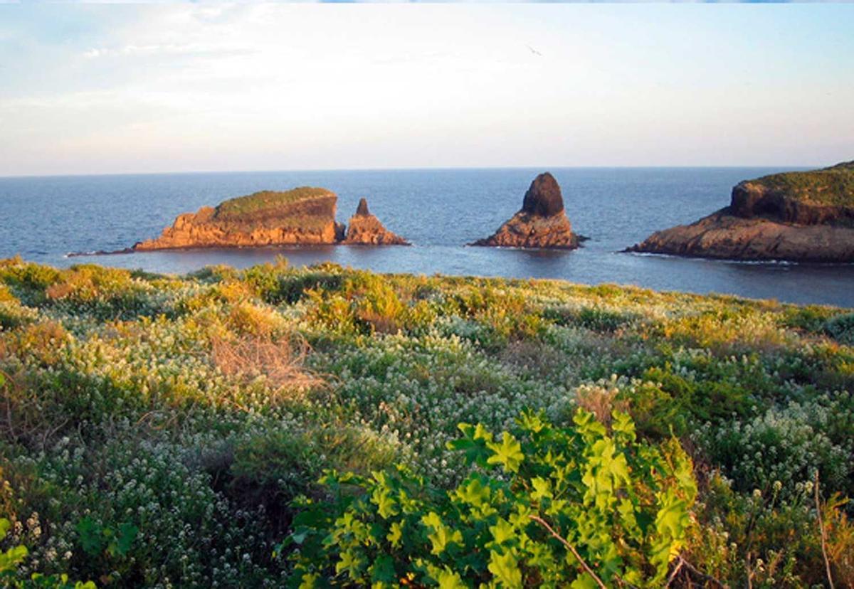 Islas Columbretes