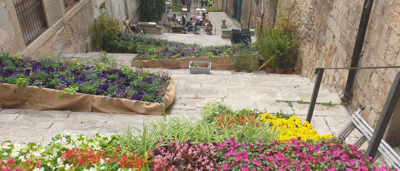 Les escales de Sant Martí es van començar a omplir de flors ahir a primera hora de la tarda