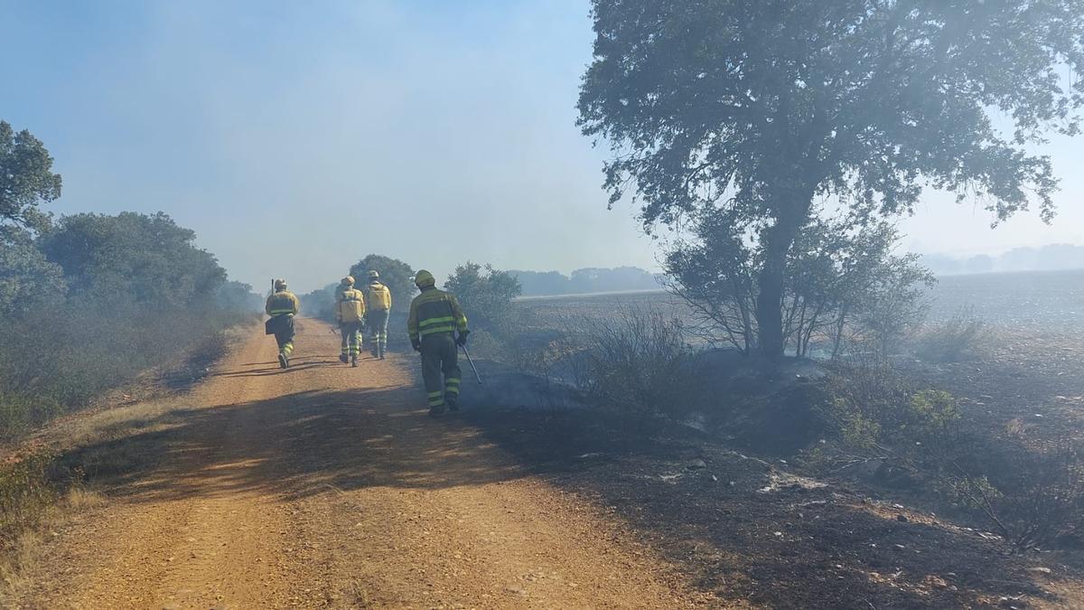 Los bomberos sofocan el fuego originado en Pozuelo de Vidriales.