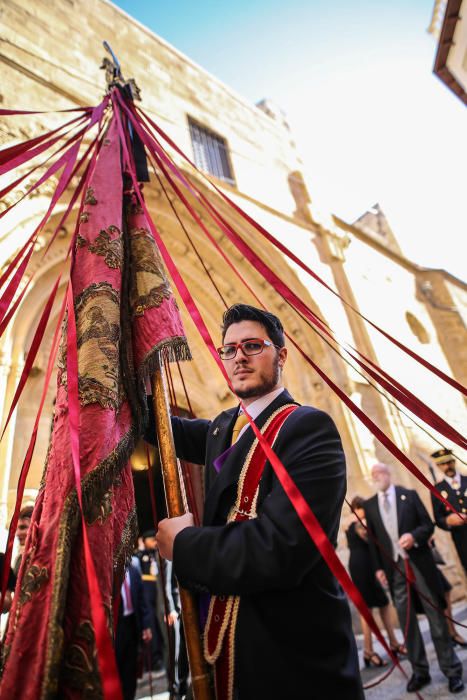 Pájaro Oriol en Orihuela