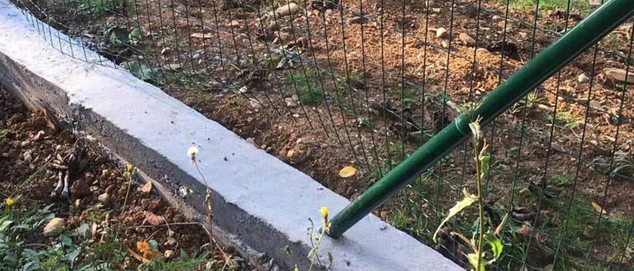 El agujero en la valla por el que entraron los jabalíes a su finca recientemente.