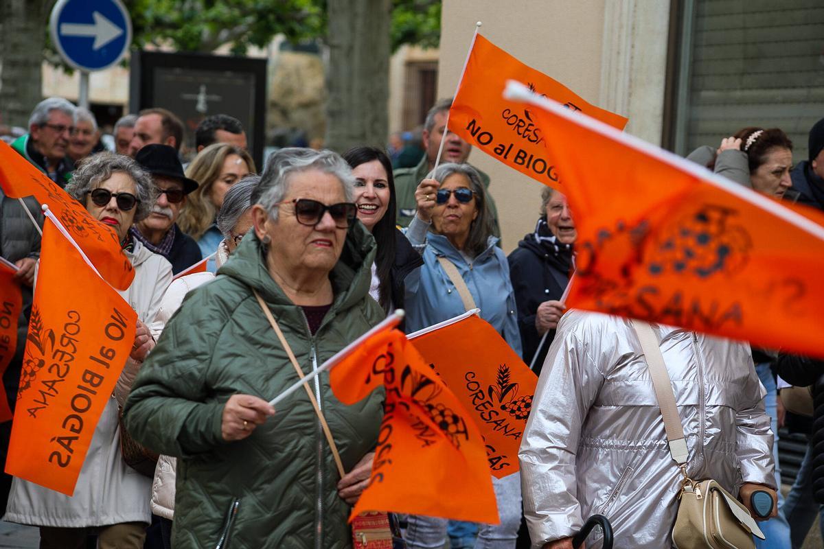 Ni molinos ni biogás: la oposición al nuevo mapa energético convoca a un millar de zamoranos en la capital