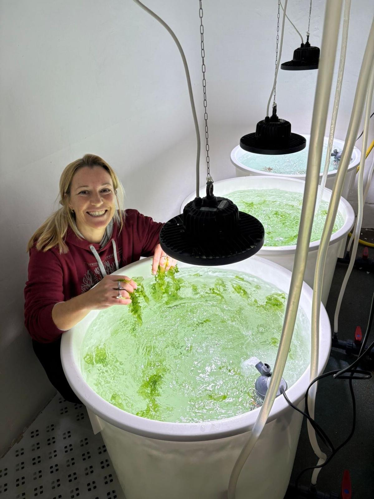 La tècnica del projecte, Mariona Alabau, observa les espècies amb què treballa en aquest projecte.