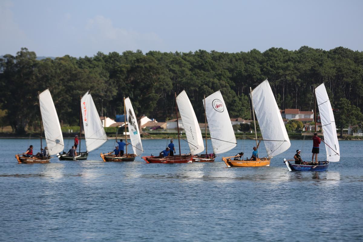 La regata de dornas a vela de la Festa do Marisco.