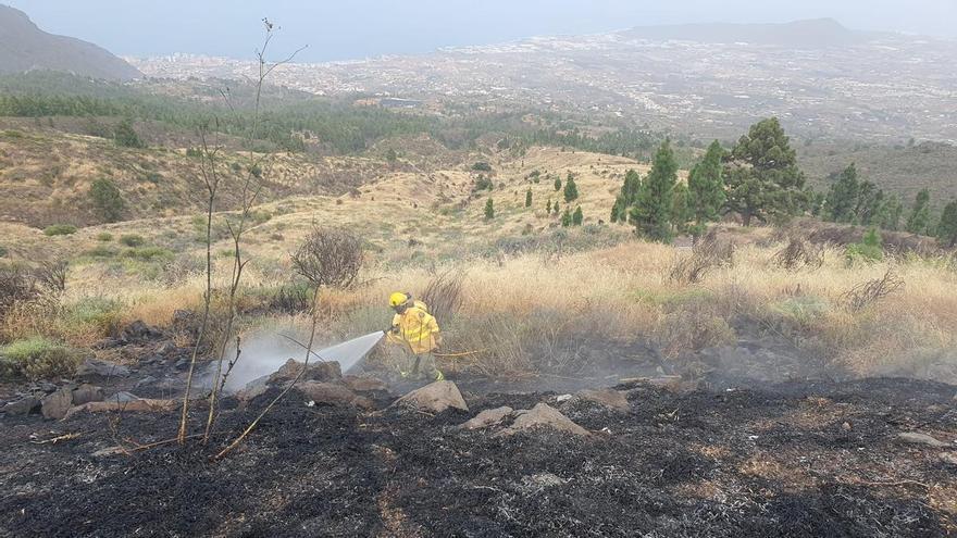 Controlado un conato de incendio en Arafo, Tenerife