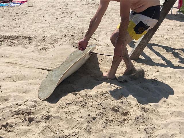 Manta raya arponeada en la playa Muchavista