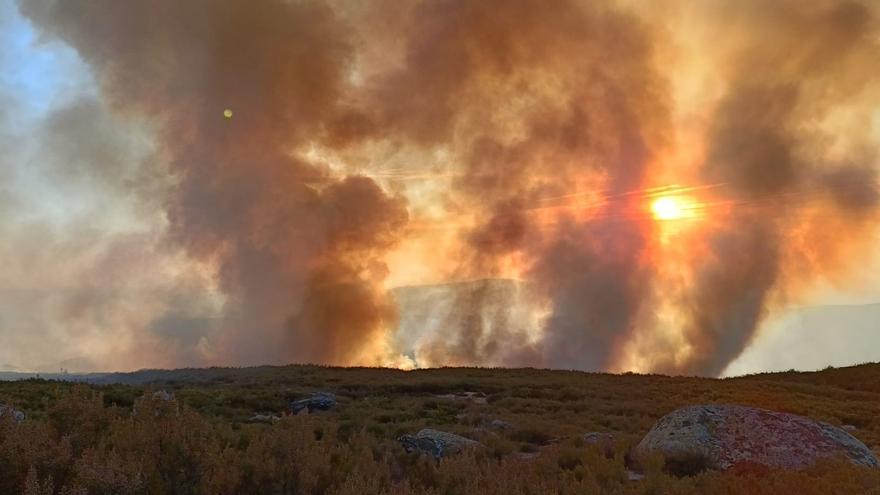 Nuevas ayudas para reparar daños provocados por incendios forestales en Zamora