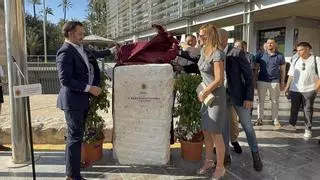 Homenaje a una pieza clave del yacimiento de La Alcudia de Elche