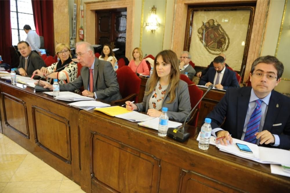 Pleno de Ayuntamiento de Murcia