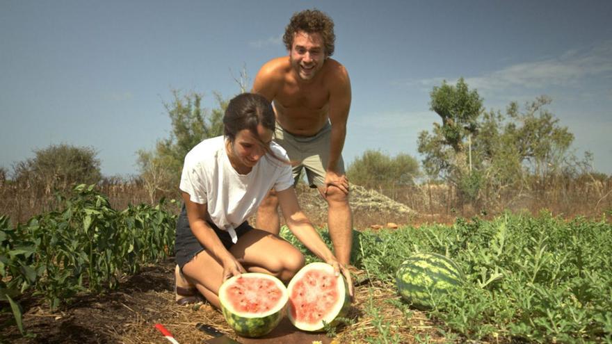 Der Traum von der Mallorca-Finca - der Deutsche Felix Starck hat daraus einen Dokumentarfilm gemacht