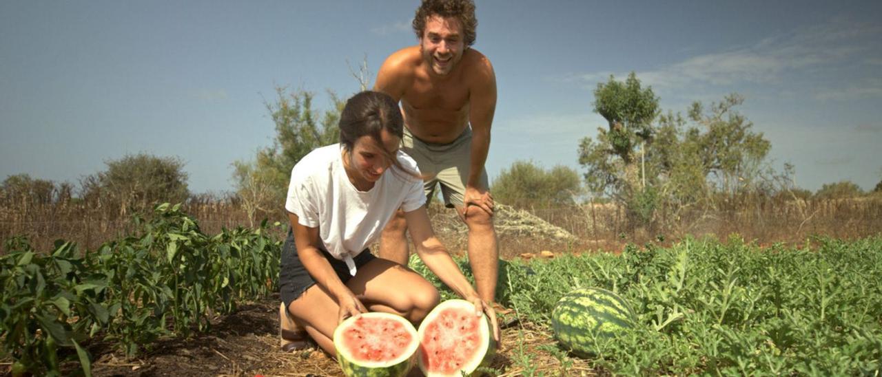 Grund zur Freude bei Valentina Blaumann und Felix Starck: Die ersten eigenen angebauten Melonen sind erntereif.