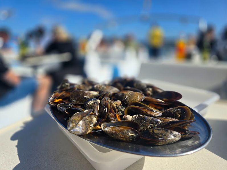 Así se disfruta de los catamaranes de O Grove.