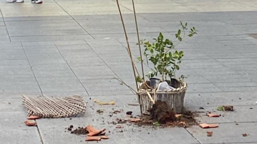 Una maceta caída de un edificio alerta a los viandantes de Mesa y López