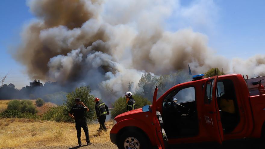 El incendio en el polígono de Chinales, en imágenes