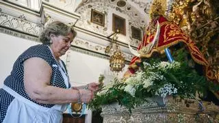 Camareras de ornato con ovarios en Cáceres