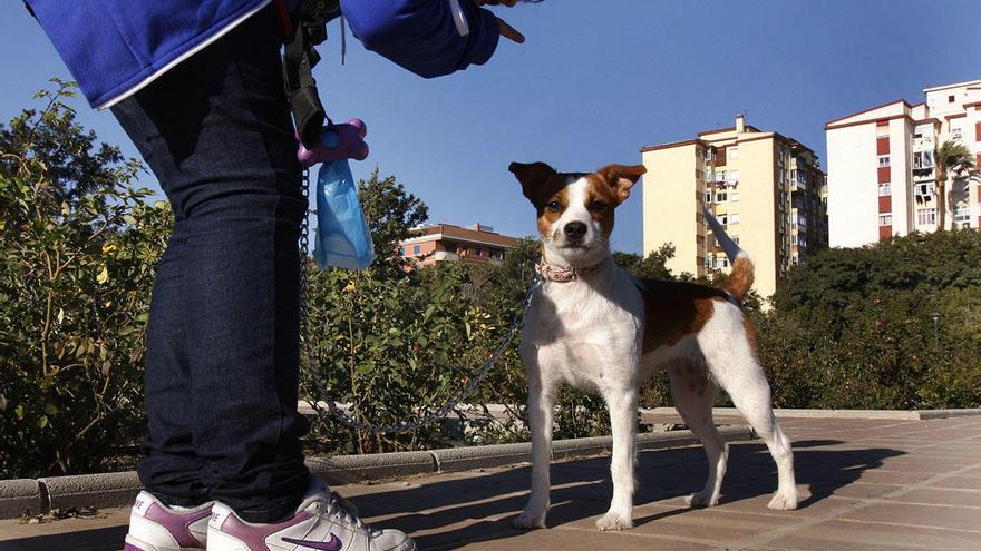 Una joven, con su mascota en un parque canino de la capital.