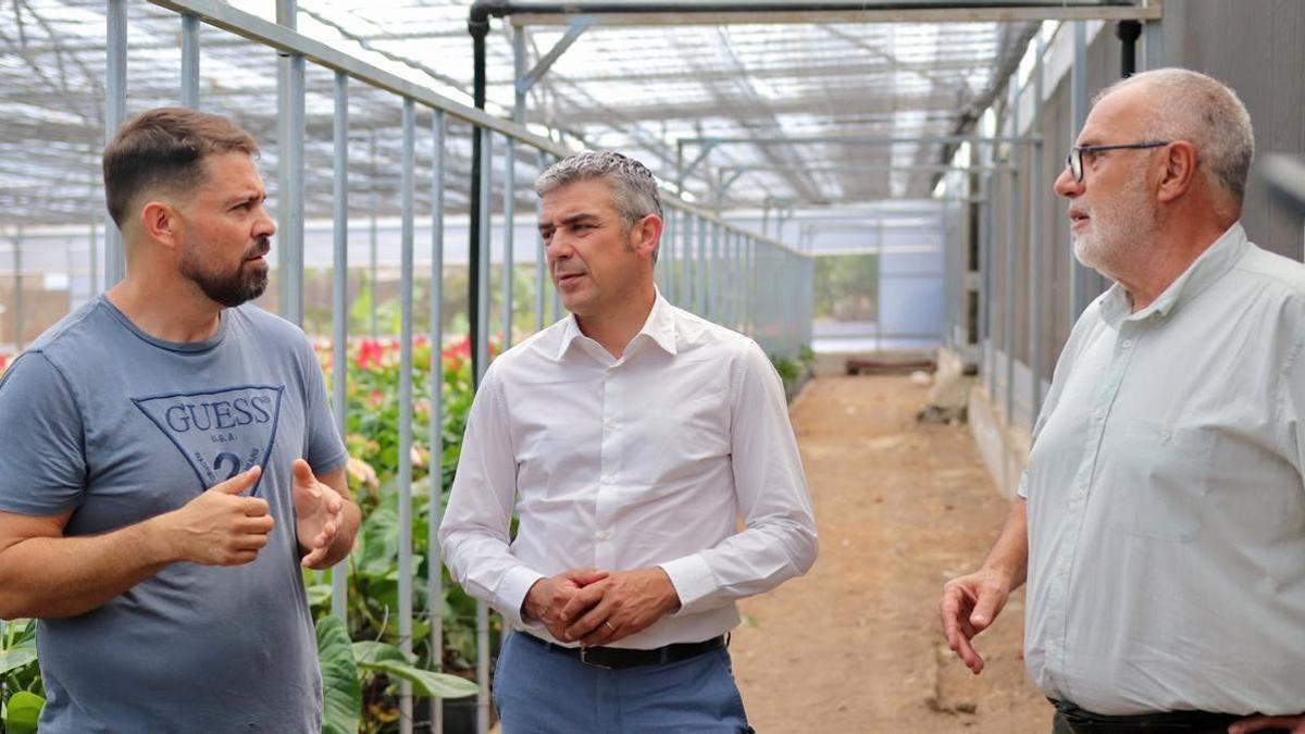 El consejero de Agricultura, Ganadería, Pesca y Soberanía Alimentaria del Gobierno de Canarias, Narvay Quintero, en la finca del agricultor Héctor Manuel González Márquez