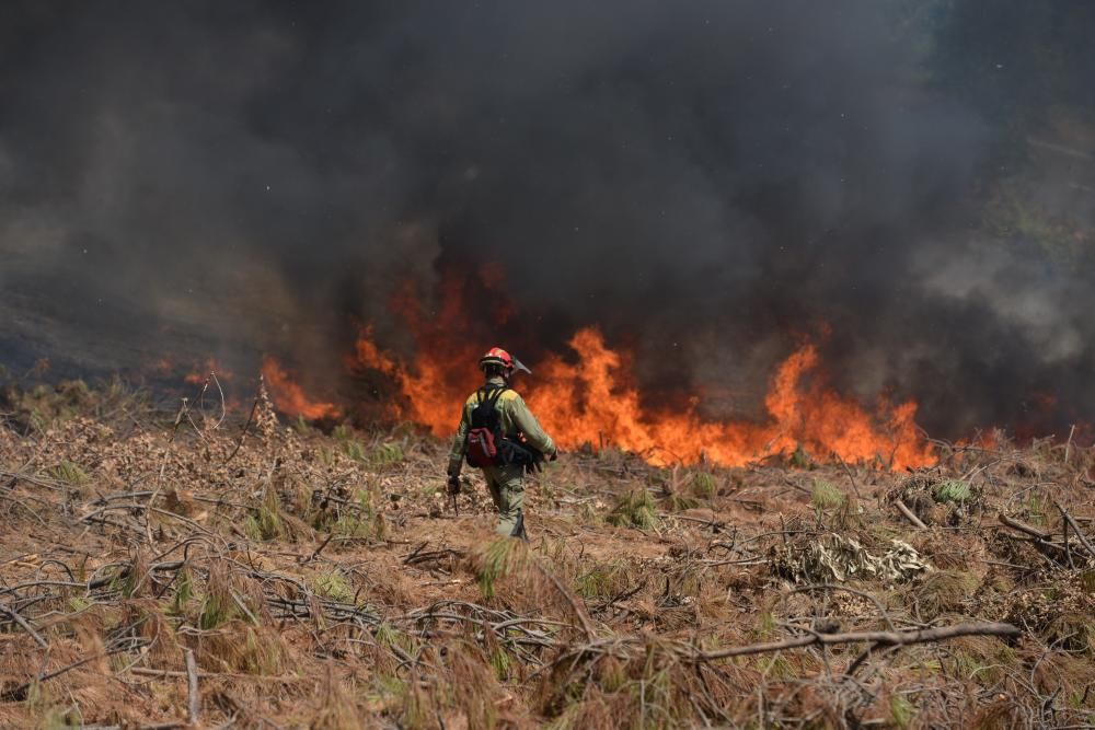 Incendio forestal en San Salvados de Meis