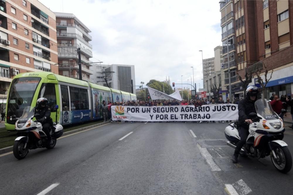 Manifestación en Murcia de los agricultores