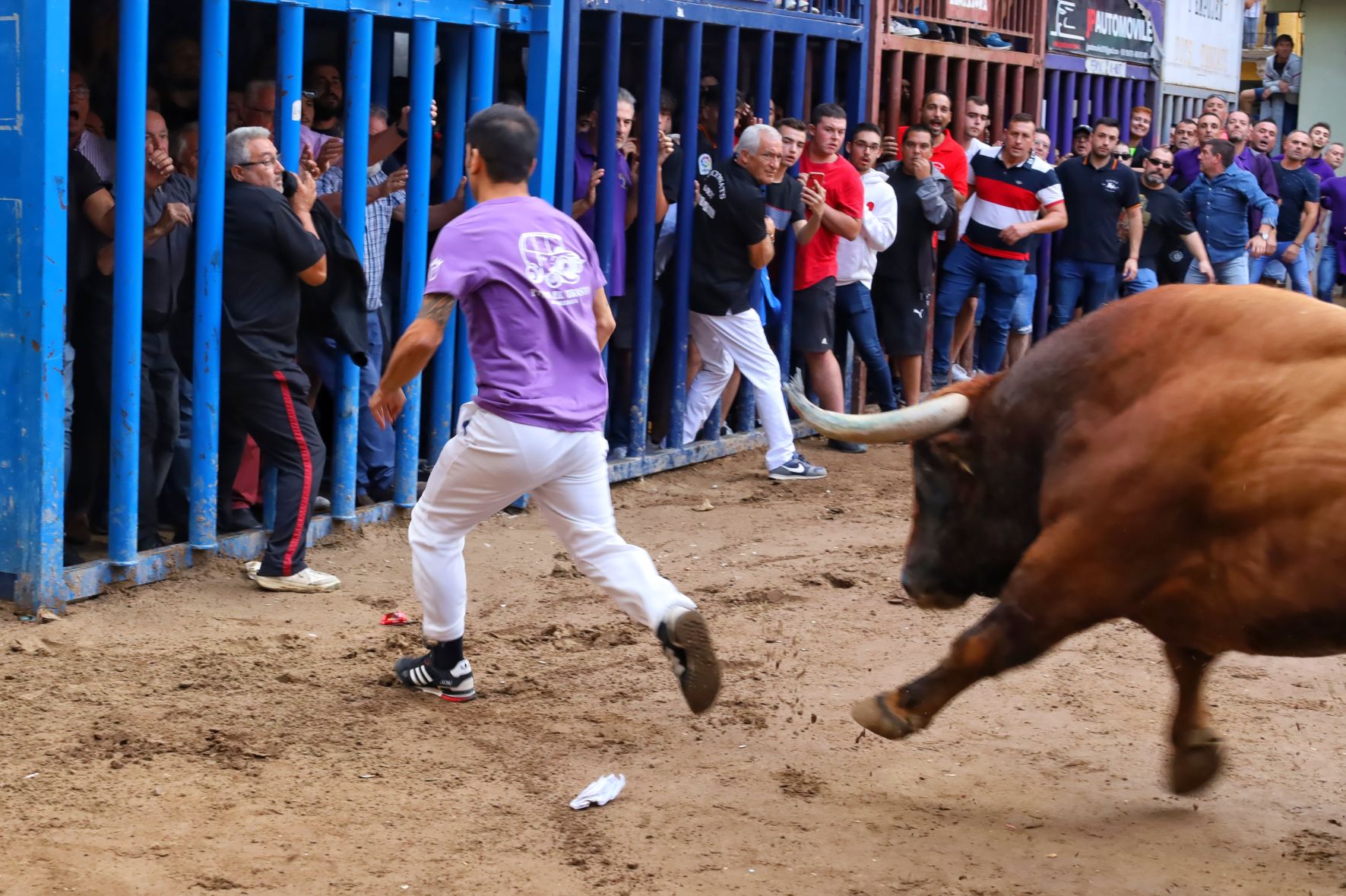 Las fotos de la tarde taurina del último sábado de fiestas de Almassora