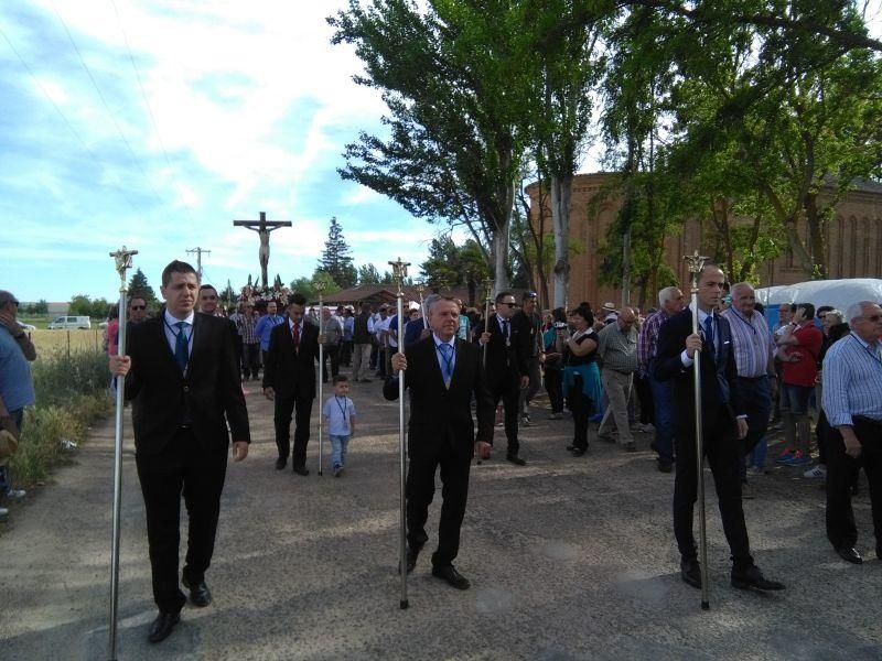 Romería del Cristo de las Batallas en Toro