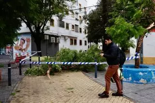 Córdoba, la tercera provincia andaluza más afectada por la borrasca Claudia, que dejó 268 incidencias