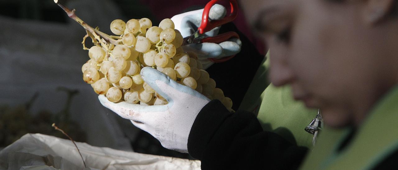 Las uvas, listas para Nochevieja.