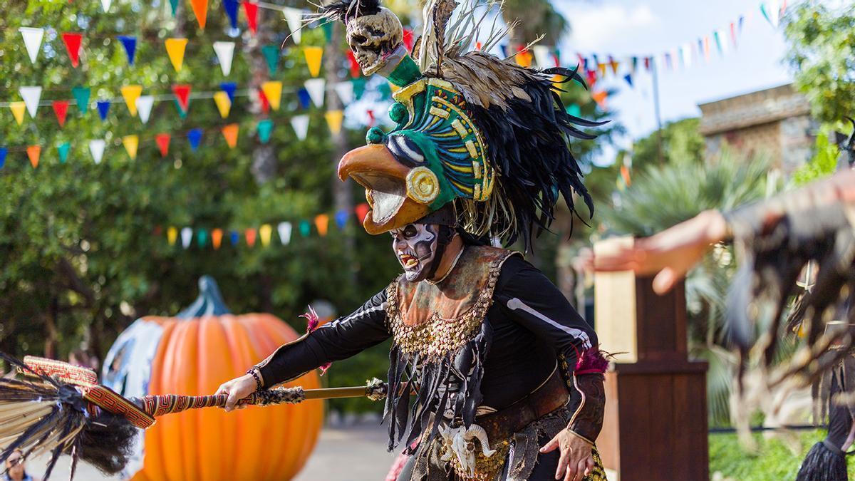 El Día de los Muertos llena de color el área de México.