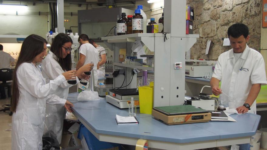 La UPV de Alcoy prepara su primer grado con formación dual orientado a la industria textil