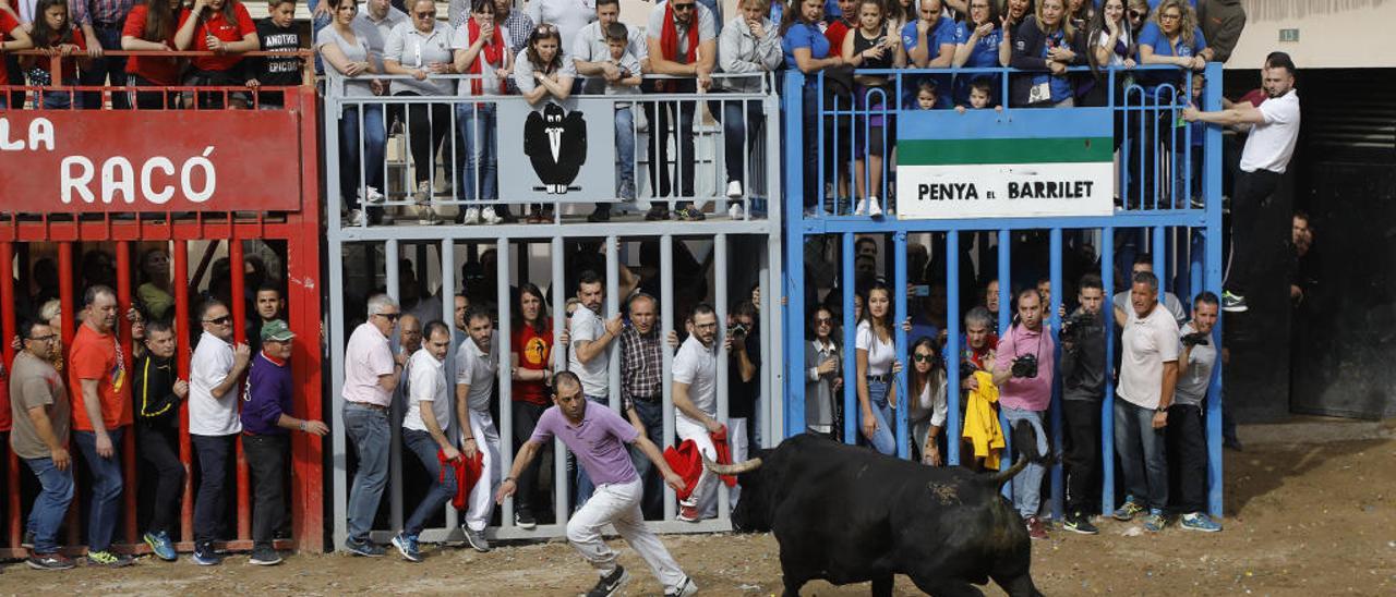 Festejo taurino en las pasadas fiestas de Almassora.