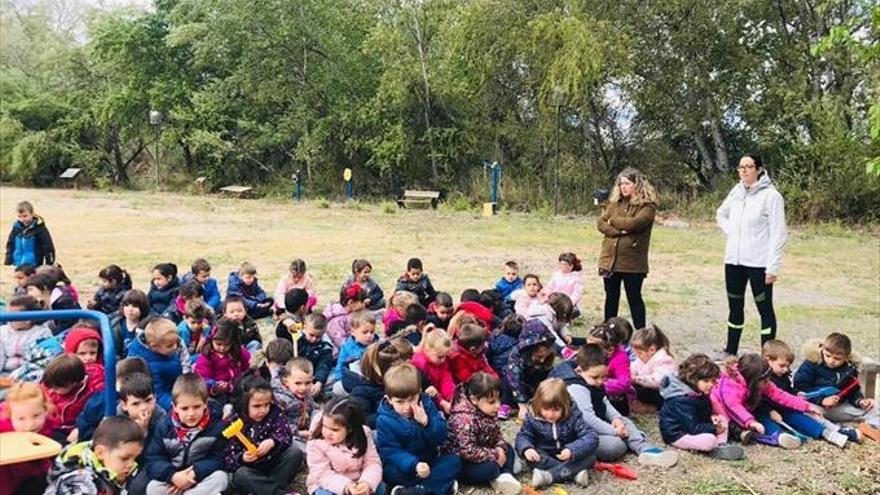 Escolares y jóvenes contribuyen a reforestar el entorno