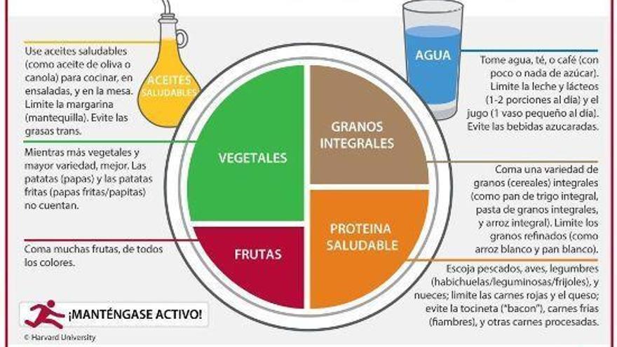 El plato de Harvard, la clave para una alimentación saludable