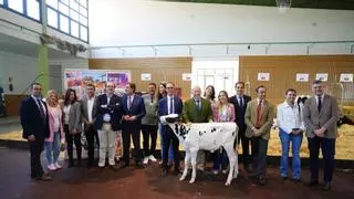 El sector primario afronta la Feria Agroganadera de Los Pedroches en un "buen momento" pero mirando con incertidumbre el contexto internacional