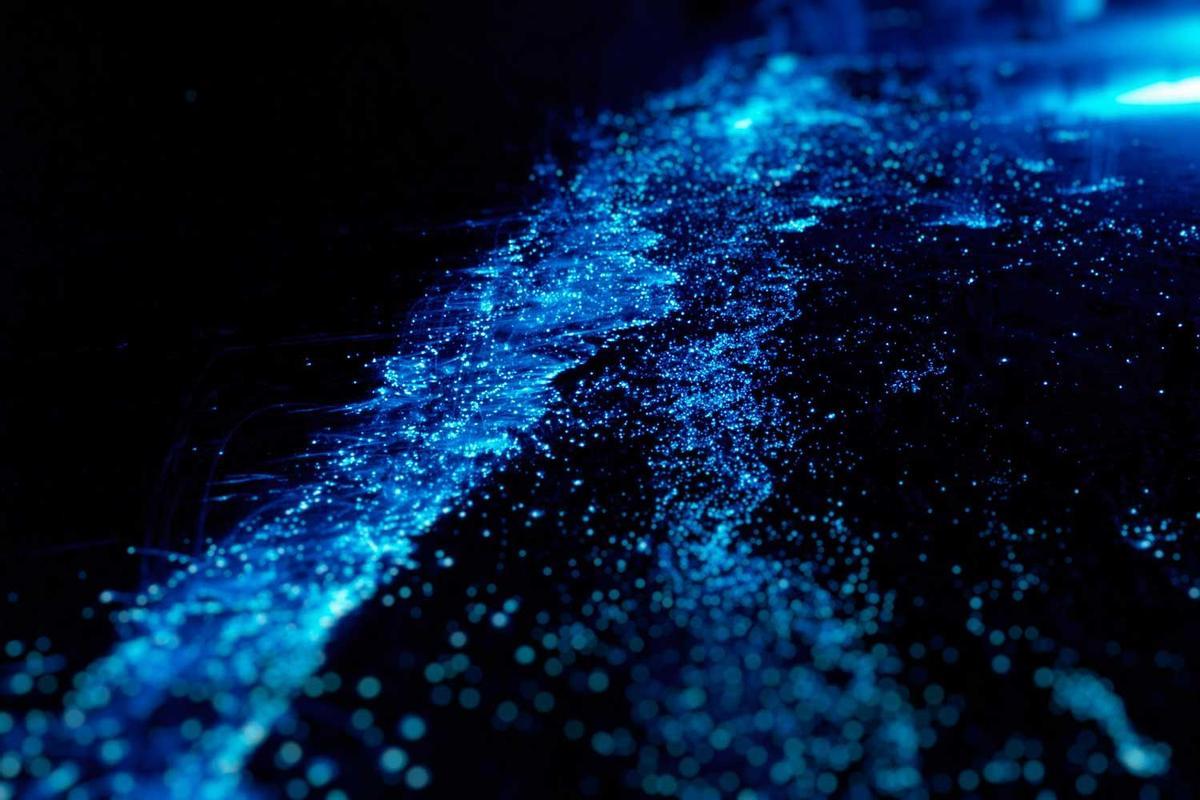 Bio luminescence. Illumination of plankton at Maldives.