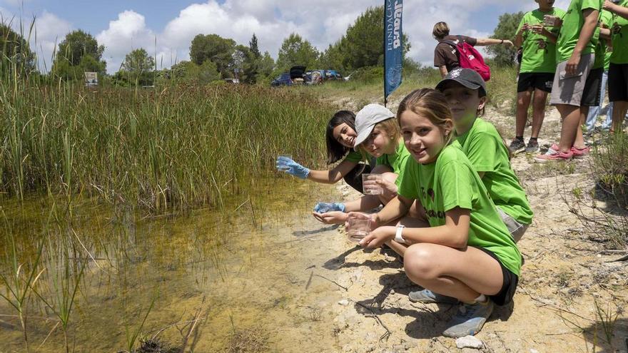 Prop de 100 ofegabous tornen al seu hàbitat de la mà d’escolars valencians