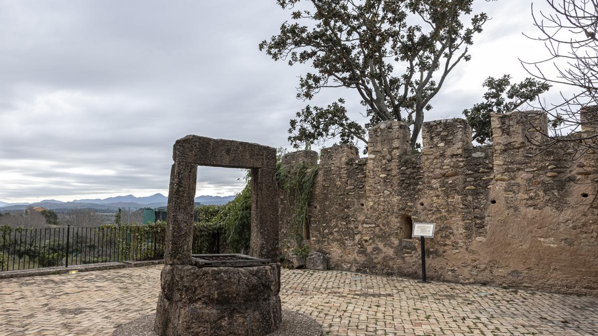 Pozo de la Cisterna árabe.