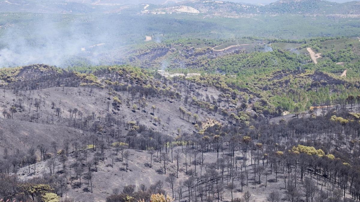 Aspecto tras el incendio forestal declarado en la tarde de ayer en Minas de Riotinto (Huelva). / Julián Pérez (Efe)