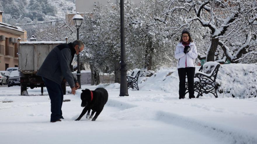 Nieve en la localidad de Millena, en El Comtat, en el temporal de enero de 2017.