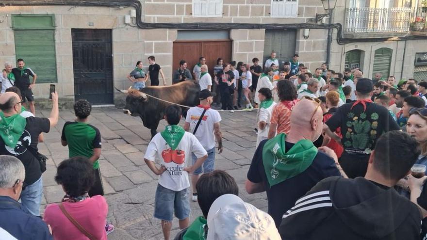 Allariz festexa a súa tradición do boi, cuxa orixe se remonta ao século XIV