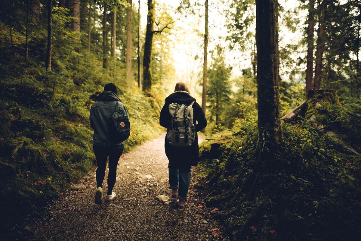 La medicina avala los ‘baños de bosque’ para reducir la ansiedad que provoca la pandemia