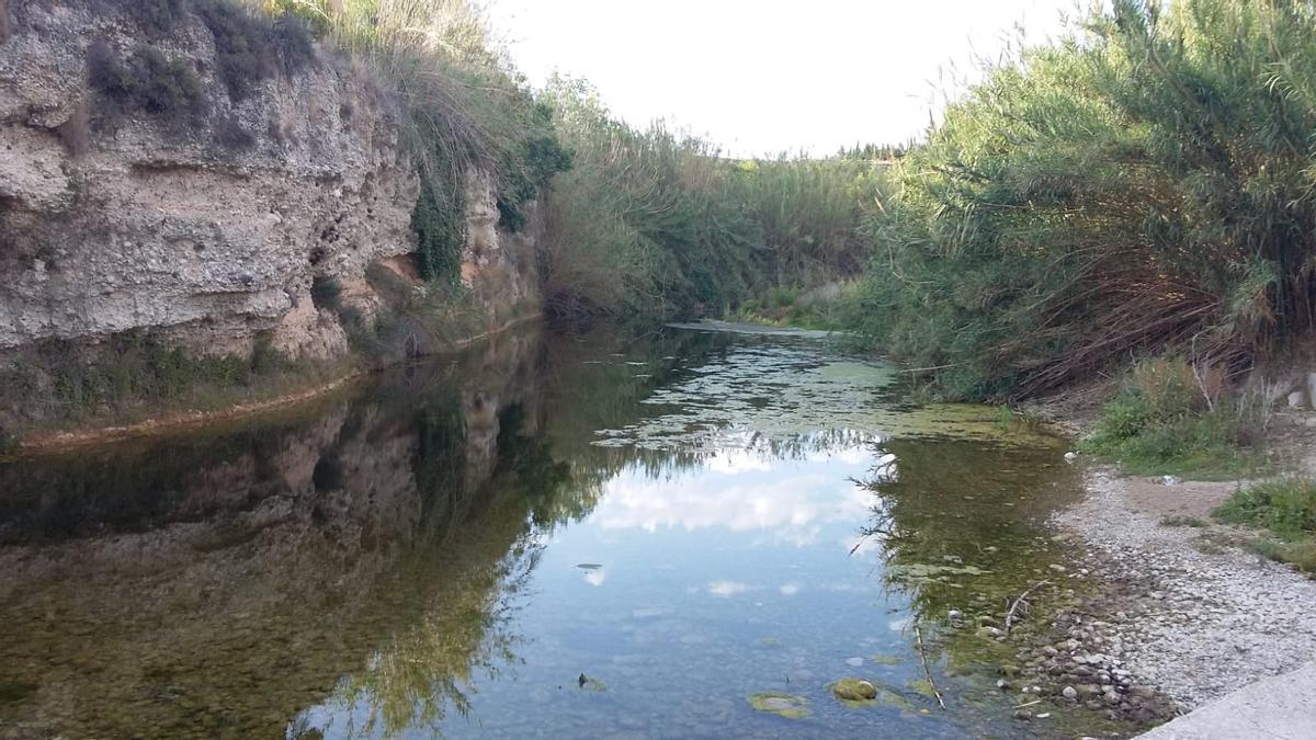 Así (de mal) están los ríos Serpis y Vernissa por la sequía Así (de mal) están los ríos Serpis y Vernissa por la sequía