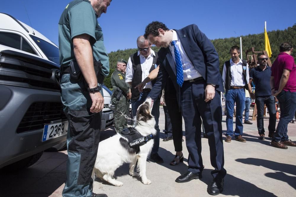 Dispositivo de seguridad para el Descenso del Sella 2017