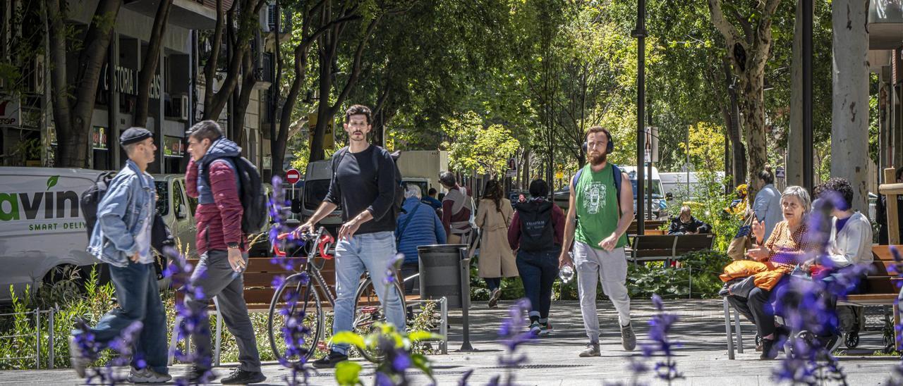 El eje verde de Consell de Cent, florido tras las lluvias