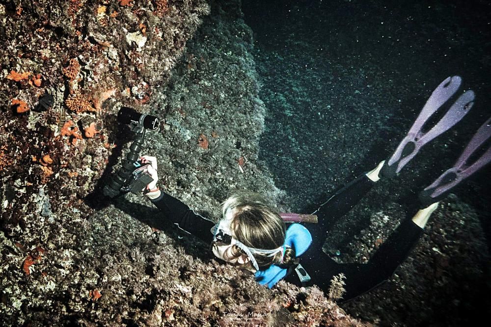 Die Unter-Wasser-Paparazzi von Mallorca