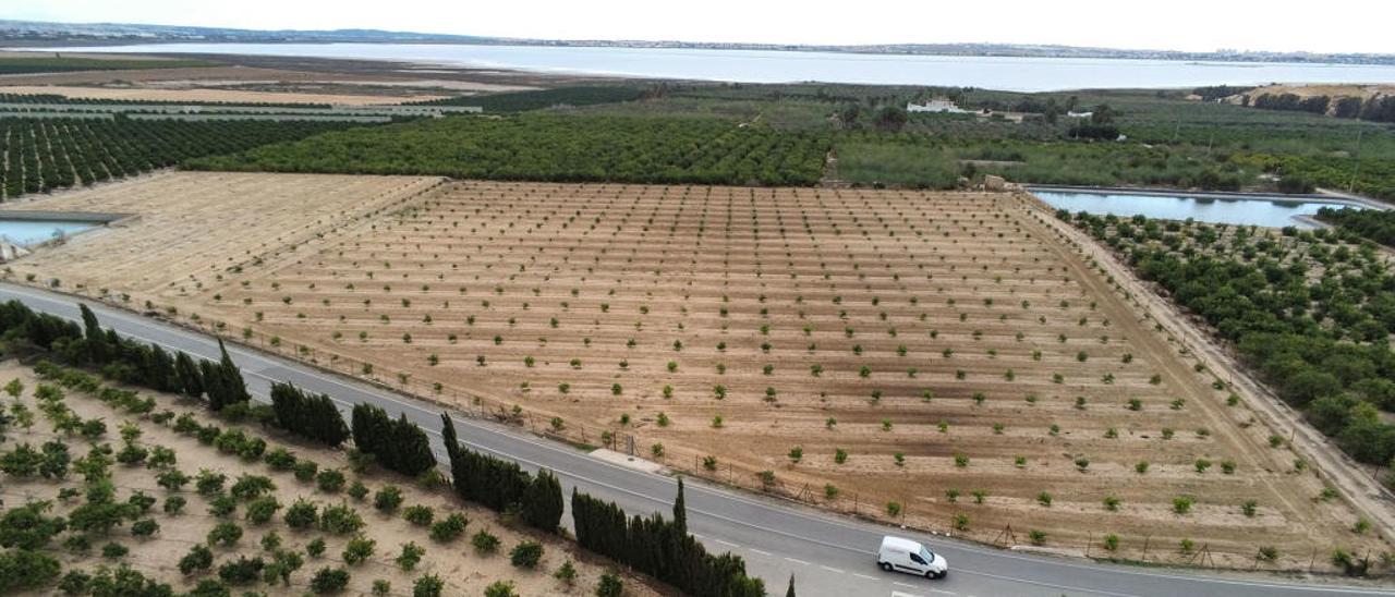 Imagen de los terrenos propuestos para la construcción de la planta de valorización TMB.