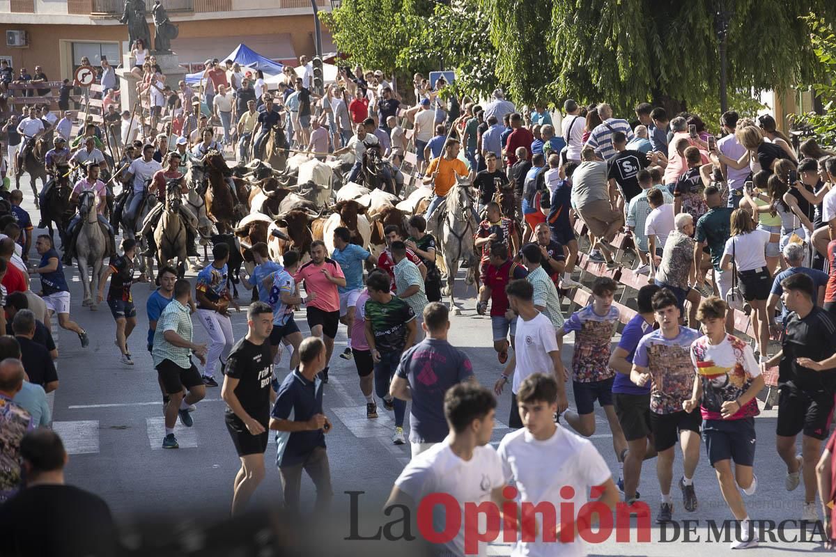 Séptimo encierro de las Fiestas de Moratalla
