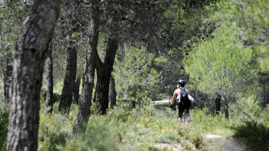 Banyeres de Mariola