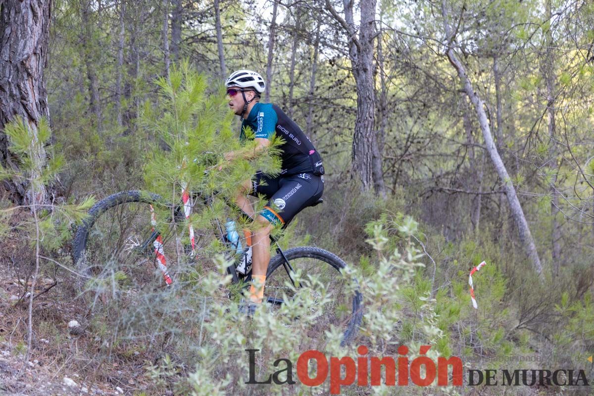 LaimplacableMTB133.jpg