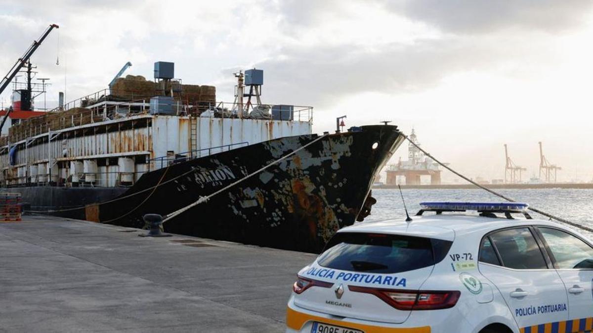 El barco, atracado en Las Palmas.